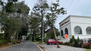 Bán Villa Mặt Tiền Lý Tự Trọng Đà Lạt – 357m² Thổ Cư, Sổ Riêng, Hướng Tây Nam, Giá 59 Tỷ