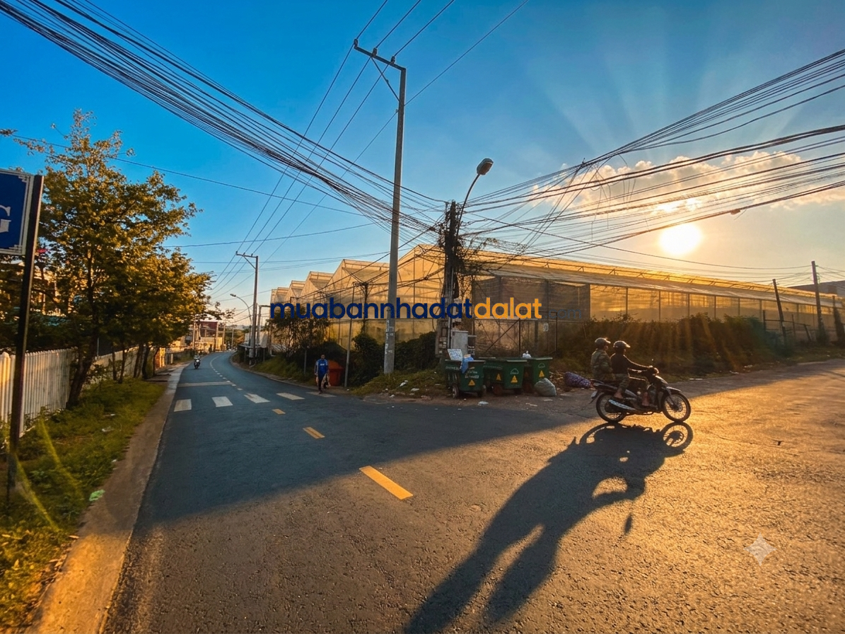 Bán Đất 2 Mặt Tiền Lý Nam Đế Đà Lạt – 2.105m², Ngang 30m, 307,5m² Thổ Cư, Giá 90 Tỷ