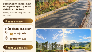 Bán Đất Biệt Lập An Sơn Đà Lạt – 264,8m² Thổ Cư, Mặt Tiền 10m, View Đồi Thông, Giá 11,8 Tỷ