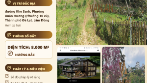 Bán Đất Khu Quy Hoạch Nguyễn Thị Nghĩa Đà Lạt – 171m² Thổ Cư, Khuôn Đất 9m x 19m, Giá 25 Tỷ