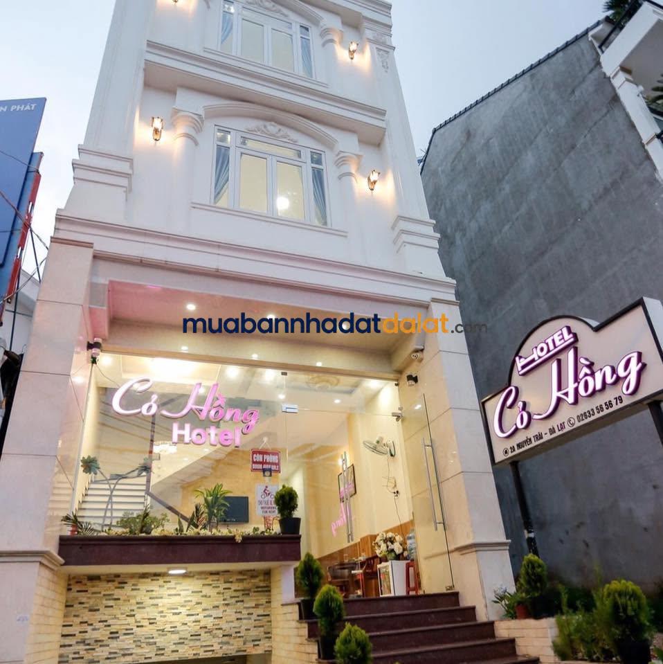 ban-khach-san-mat-tien-nguyen-trai-da-lat-7413m²-12-phong-co-thang-may-gia-22-ty Bán Khách Sạn Mặt Tiền Nguyễn Trãi Đà Lạt – 74,13m², 12 Phòng, Có Thang Máy, Giá 22 Tỷ