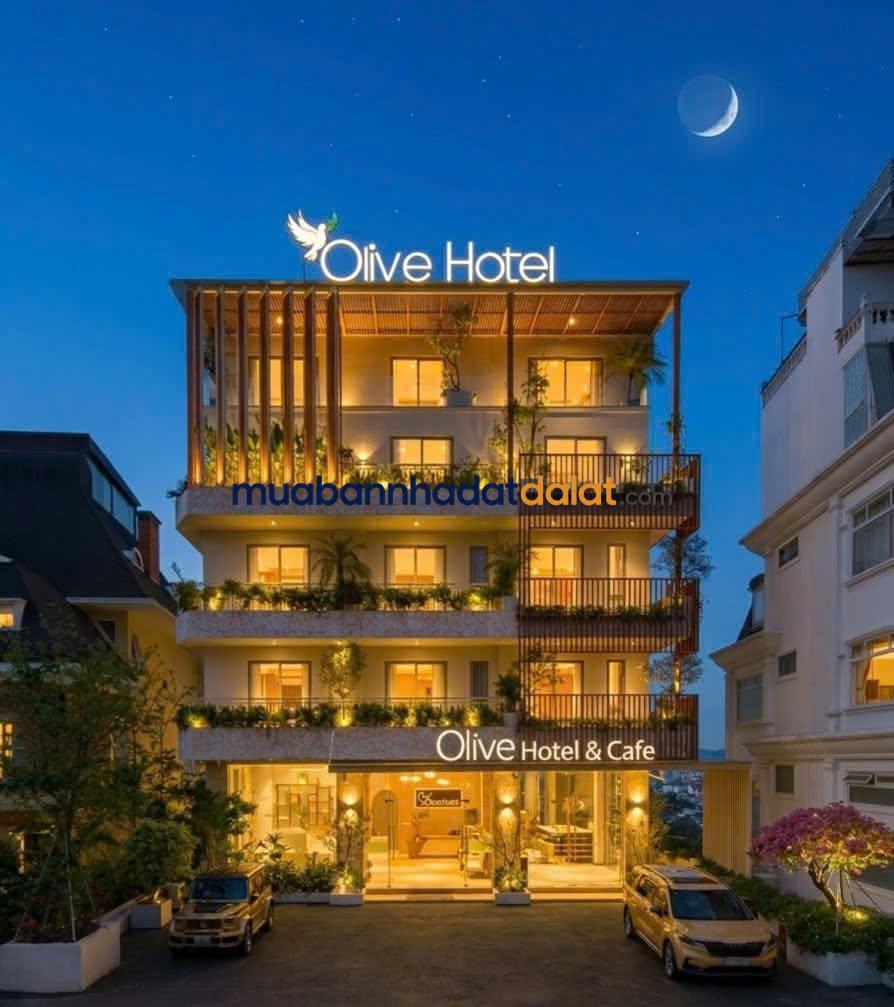 ban-khach-san-dong-da-da-lat-526m²-tho-cu-so-rieng-huong-dong-nam-gia-280-ty Bán Khách Sạn Đống Đa Đà Lạt – 526m² Thổ Cư, Sổ Riêng, Hướng Đông Nam, Giá 280 Tỷ