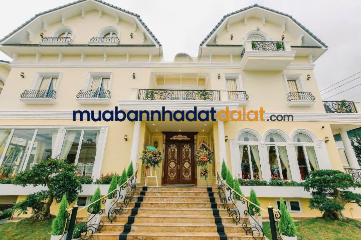 ban-khach-san-2-mat-tien-da-tuong-da-lat-1-058m²-tho-cu-22-phong-da-hoan-cong-gia-120-ty Bán Khách Sạn 2 Mặt Tiền Dã Tượng Đà Lạt – 1.058m² Thổ Cư, 22 Phòng, Đã Hoàn Công, Giá 120 Tỷ
