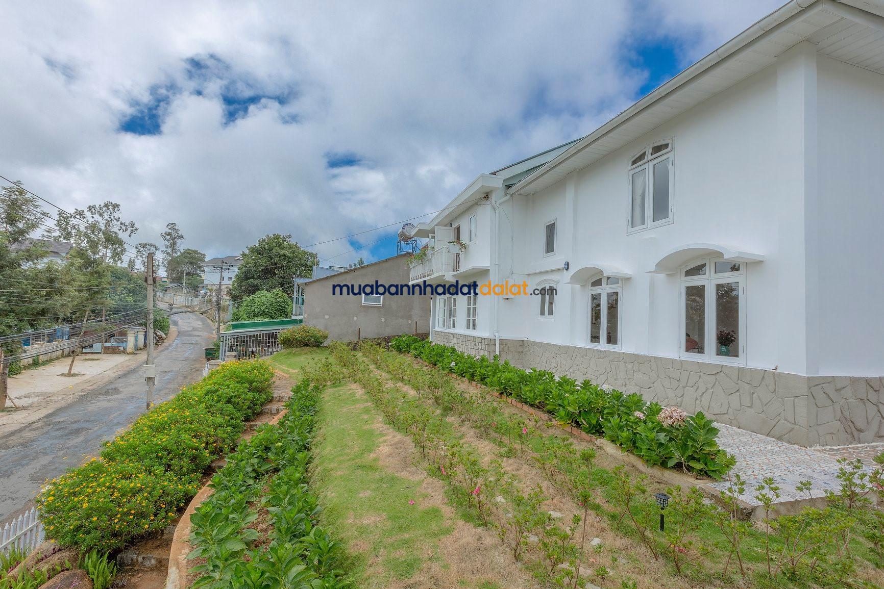 ban-biet-thu-mat-tien-han-thuyen-da-lat-1-007m²-900m²-tho-cu-ngay-trung-tam-gia-65-ty Bán Biệt Thự Mặt Tiền Hàn Thuyên Đà Lạt – 1.007m², 900m² Thổ Cư, Ngay Trung Tâm, Giá 65 Tỷ