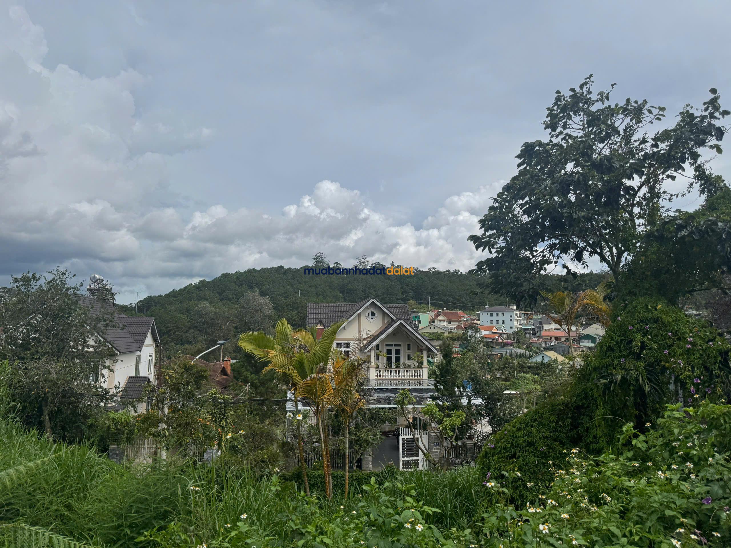 ban-dat-view-dinh-1-tran-thai-tong-da-lat-761m²-500m²-tho-cu-gia-80-ty Bán Đất View Dinh 1 Trần Thái Tông Đà Lạt – 761m², 500m² Thổ Cư, Giá 80 Tỷ